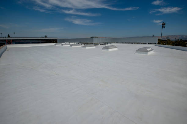 Best Asphalt Shingle Roofing  in Cleary, MS