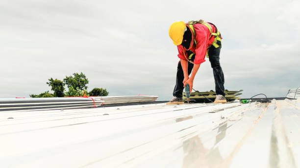 Best Tile Roofing Installation  in Cleary, MS