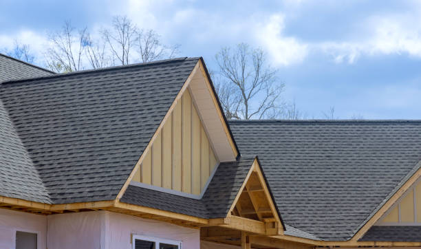 Best Solar Panel Roofing Installation  in Cleary, MS